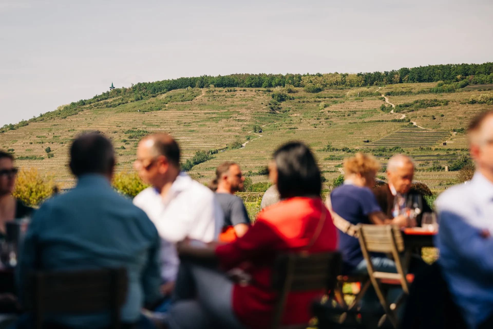 Background for TÖUR DE VIN